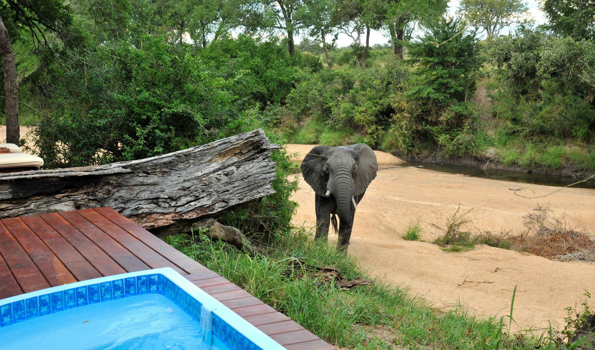 Imbali Safari Lodge Mluwati Concession Экстерьер фото